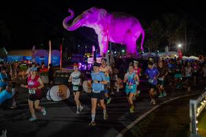 BIB: 
                            <button type="button" onclick="openModal(26552326)" class="btn btn-primary btn-sm float-right btn-popup" data-toggle="modal" data-target=".modal-high-quality">
                        <i class="fas fa-shopping-cart"></i> Add to Cart
                    </button>
                                            <button type="button" onclick="isThisMe(26552326, true)" class="btn btn-success btn-sm float-right btn-popup btn-isme hidden" data-toggle="tooltip" data-placement="bottom" title="นี่คือรูปของคุณใช่ไหม คลิกที่นี่เพื่อเอาเข้าอัลบั้ม">
                        <i class="fas fa-plus"></i> Add to album
                    </button>
                    <button type="button" onclick="isThisMe(26552326, false)" class="btn btn-warning btn-sm float-right btn-popup btn-isnotme hidden">
                        <i class="fas fa-ban"></i> Remove from album
                    </button>